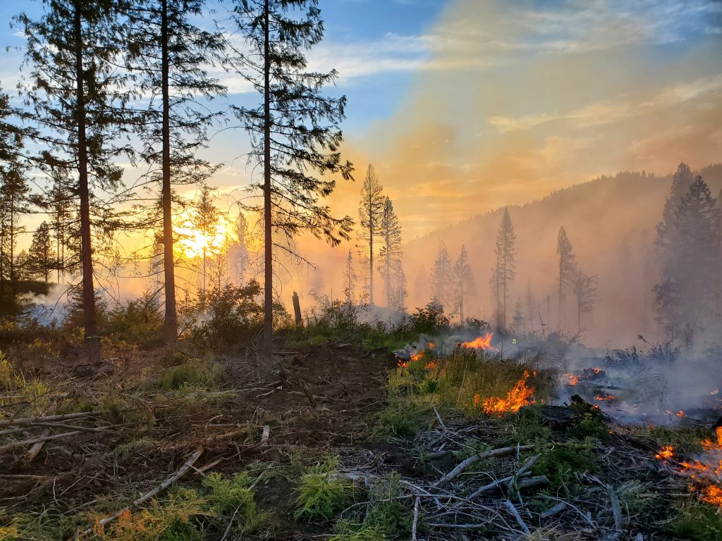 wildfire on a ridge in Idaho