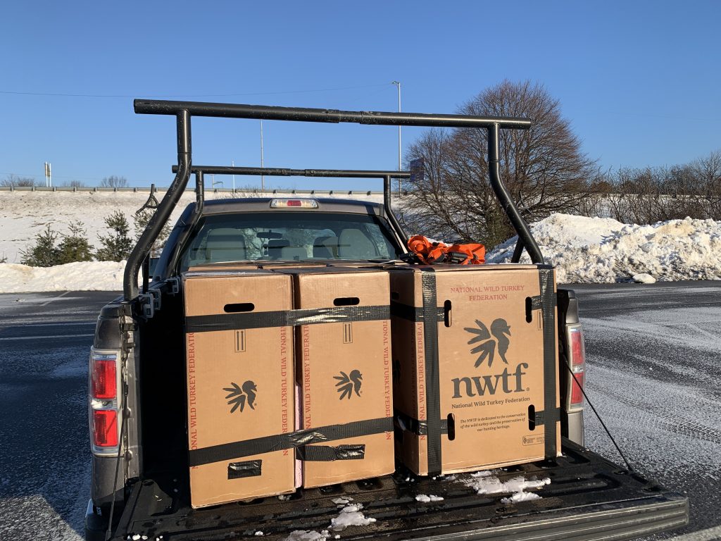 Wild turkeys loaded in boxes in the back of a truck 