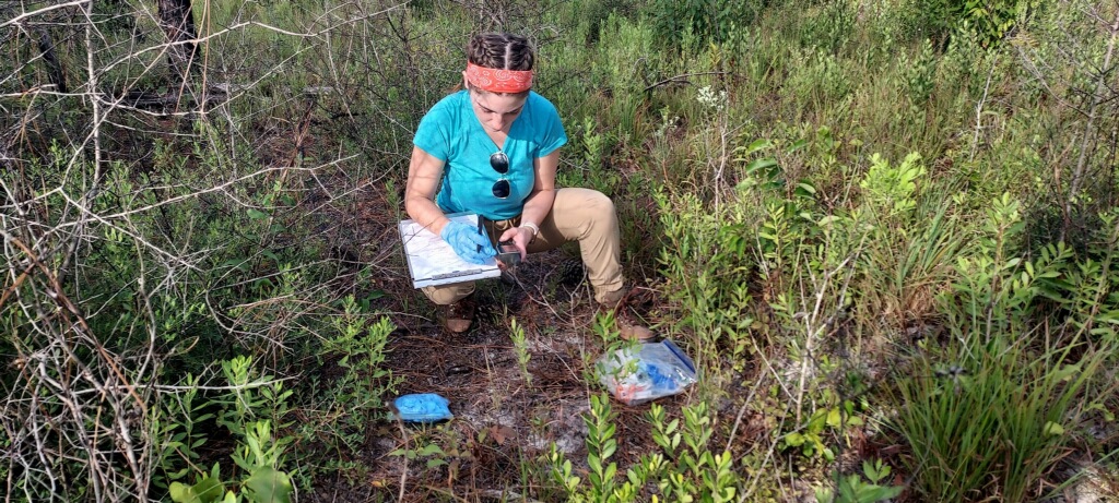 A project field technician documents data gathered in the field as part of the study. Photo courtesy of Jackson McCommon. 