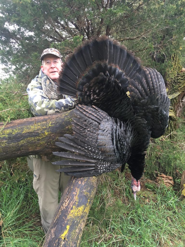 Melanistic gobbler harvested