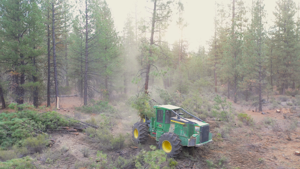 timber cutting for Hawks project