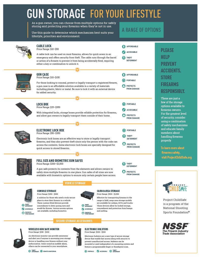 infographic describing the best options for gun storage based on budgets and needs