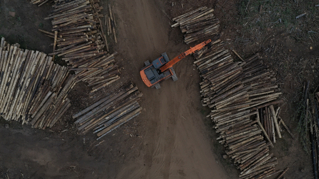 A log loader at the landing decking, sorting logs for the log truck on Colt. Photo courtesy of the California Deer Association.   