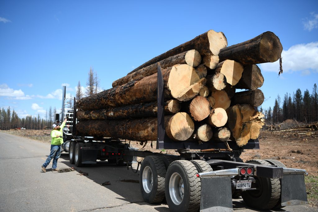 A log truck with a load of logs ready to transport to Gilchrist Forest Products. Photo courtesy of the California Deer Association. 