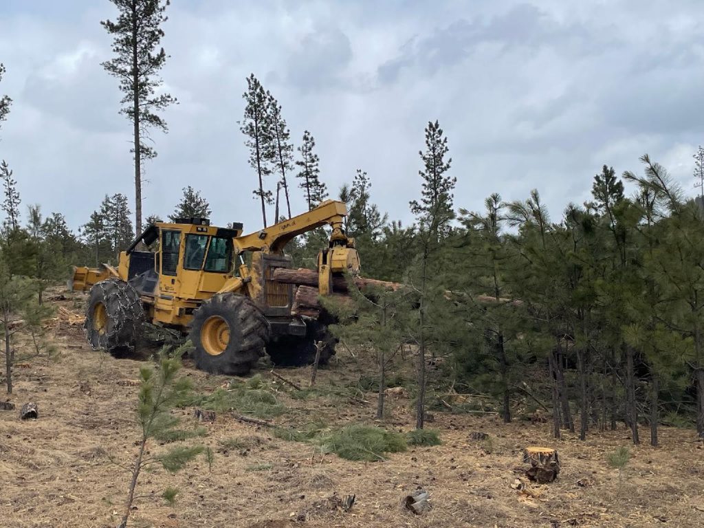 A skidder skidding (transporting) logs to a landing. Location: Black Hills, Wyoming/South Dakota. Photo courtesy of Spearfish Forest Products. 