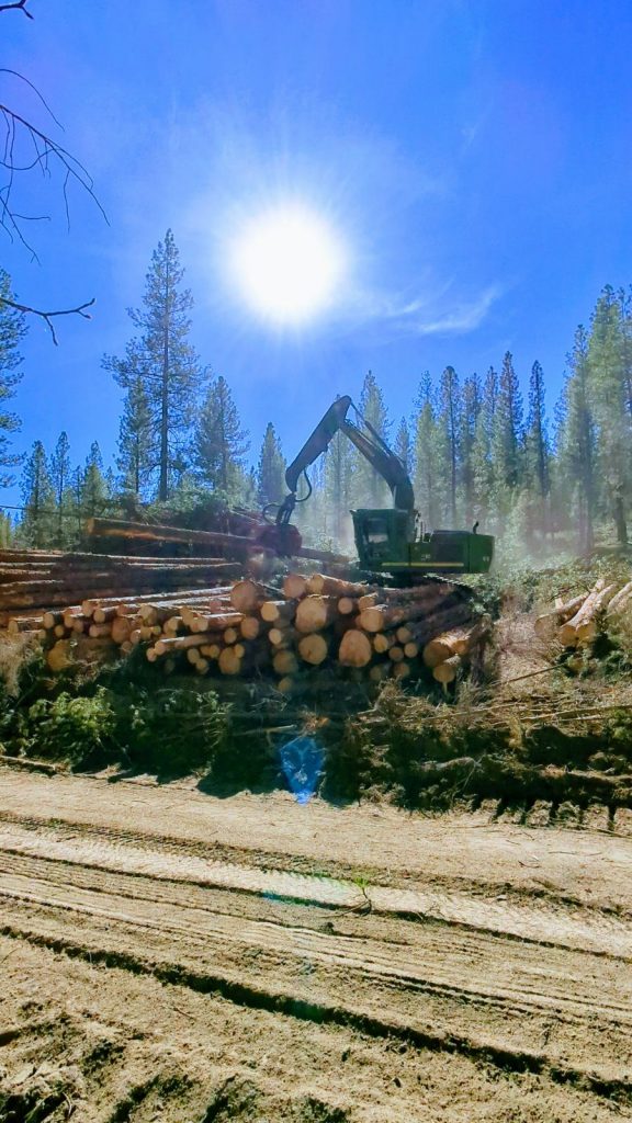 Log Processor at a landing: Trees are delimbed and cut into log lengths to be transported to the sawmill. Location: Fremont Winema National Forest. Photo Courtesy of Gilchrist Forest Products.
