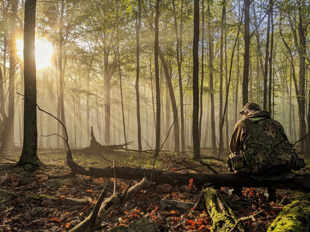 A hunter sits on a logo as the spring sun shines through the woods.