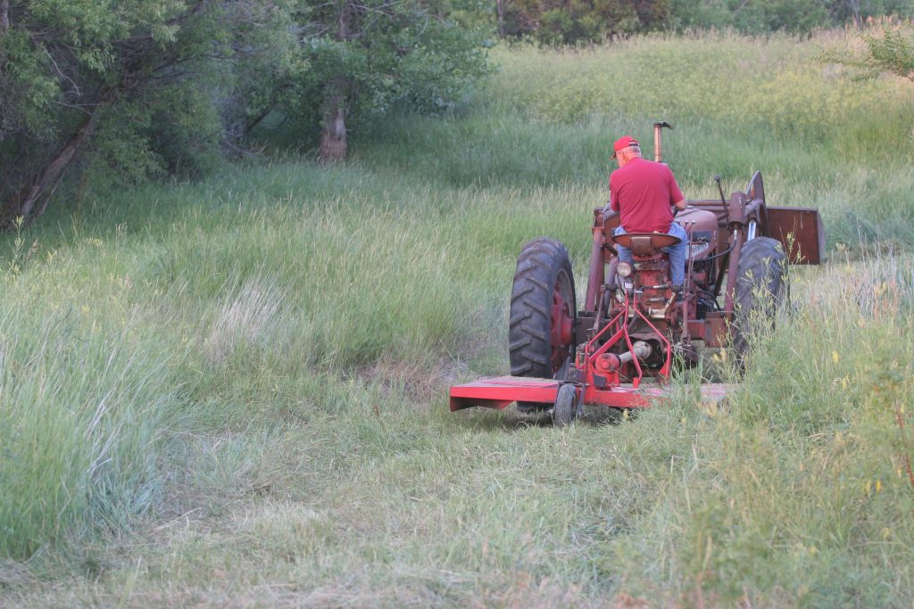 Whitetail hunter mowing trail for whitetails