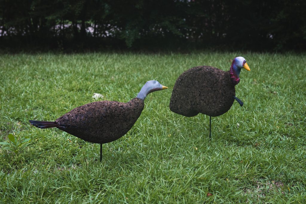 Two homemade turkey decoys in the field.