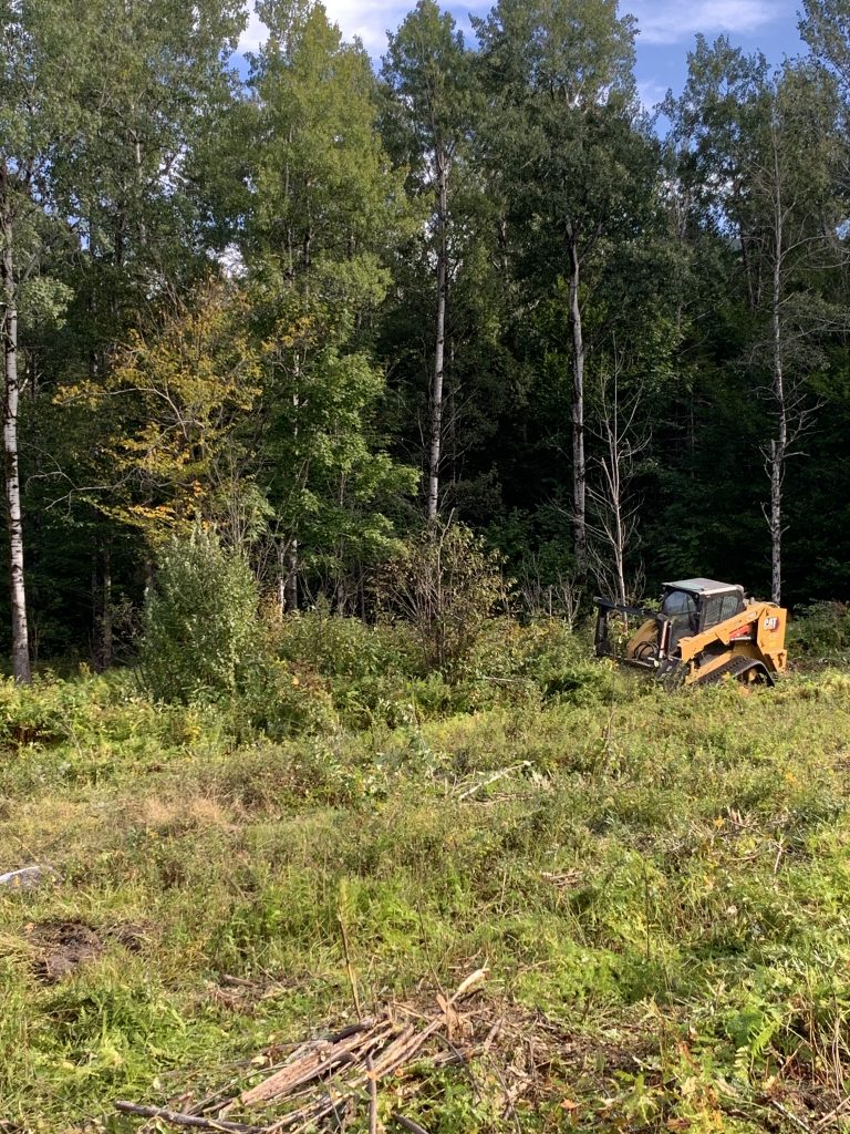 White Mountain National Forest habitat management.