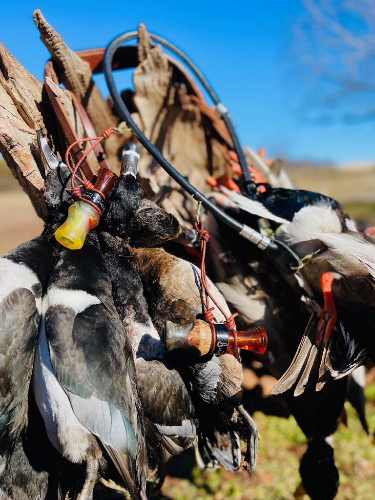 Many beautiful harvested ducks with the Fowler Lanyard.