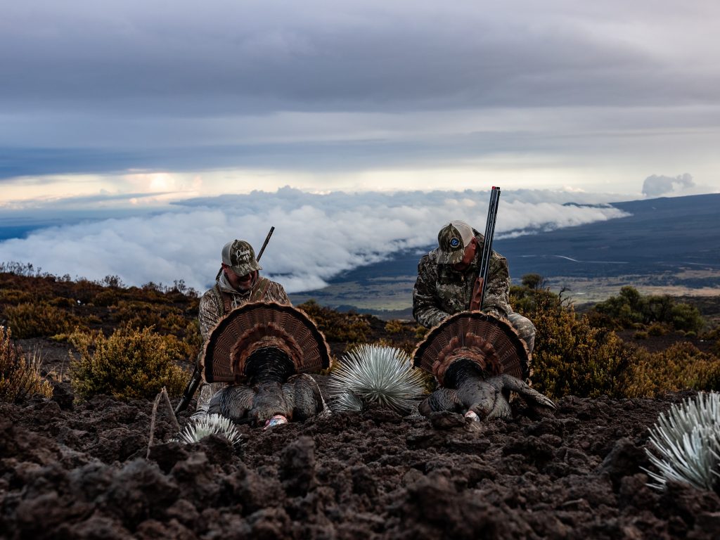 Two hunters admire their harvest with a scenic backdrop