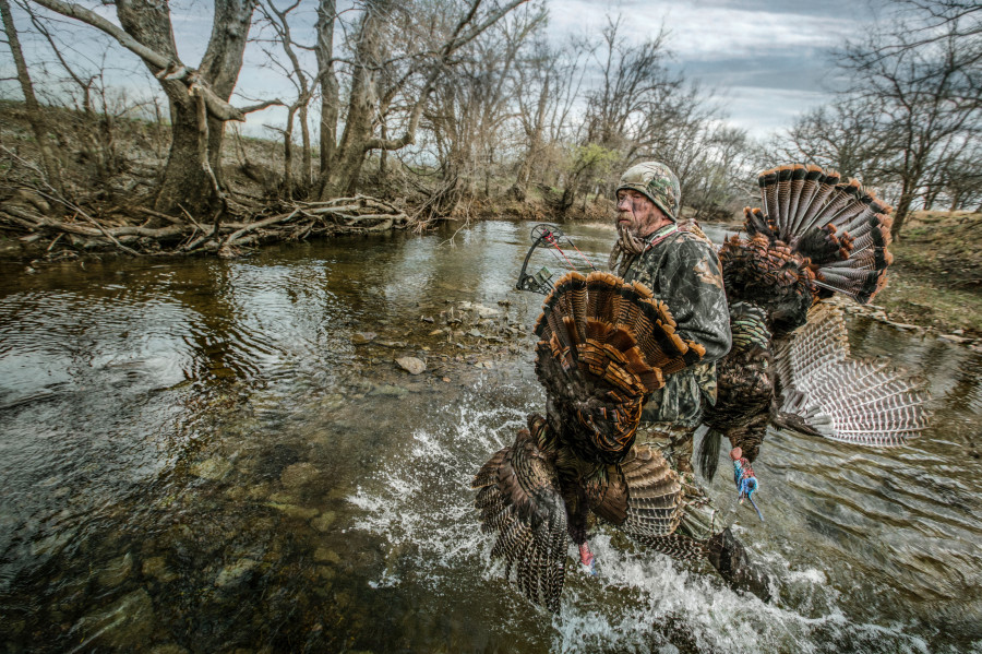 A hunter carrying two harvested turkeys across a river.