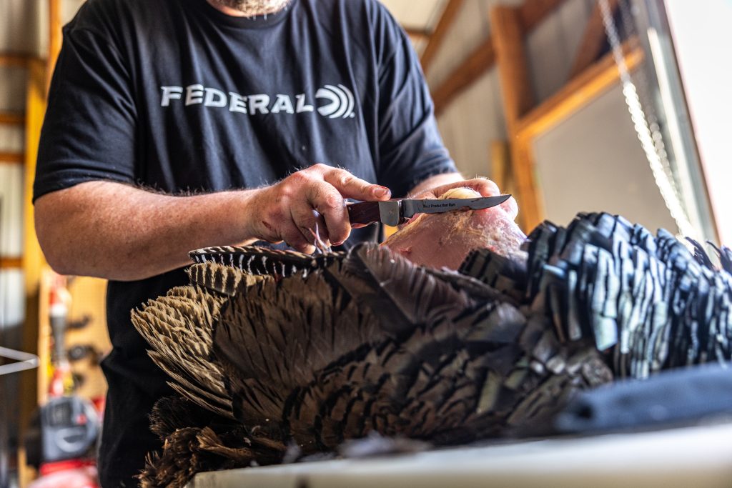 A hunter cleans his wild turkey. 