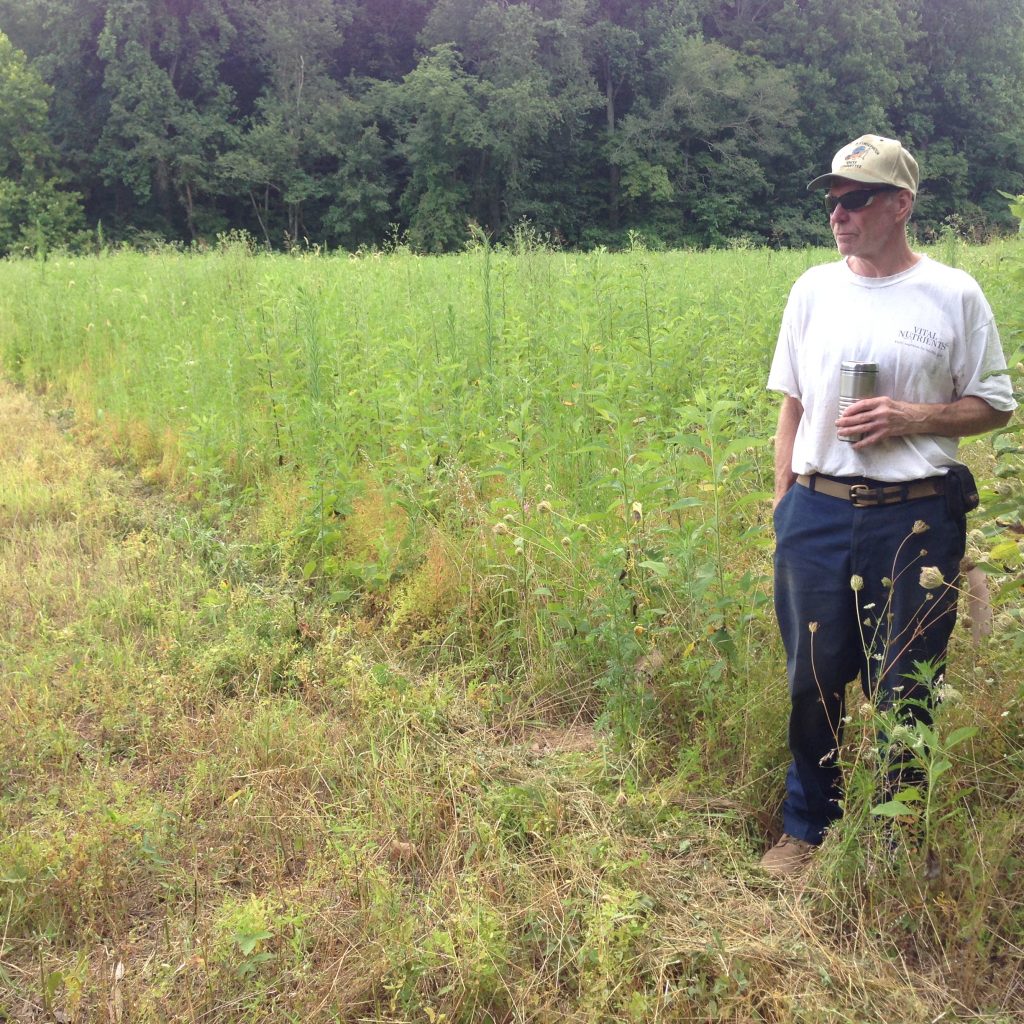 Early Successional Habitat
