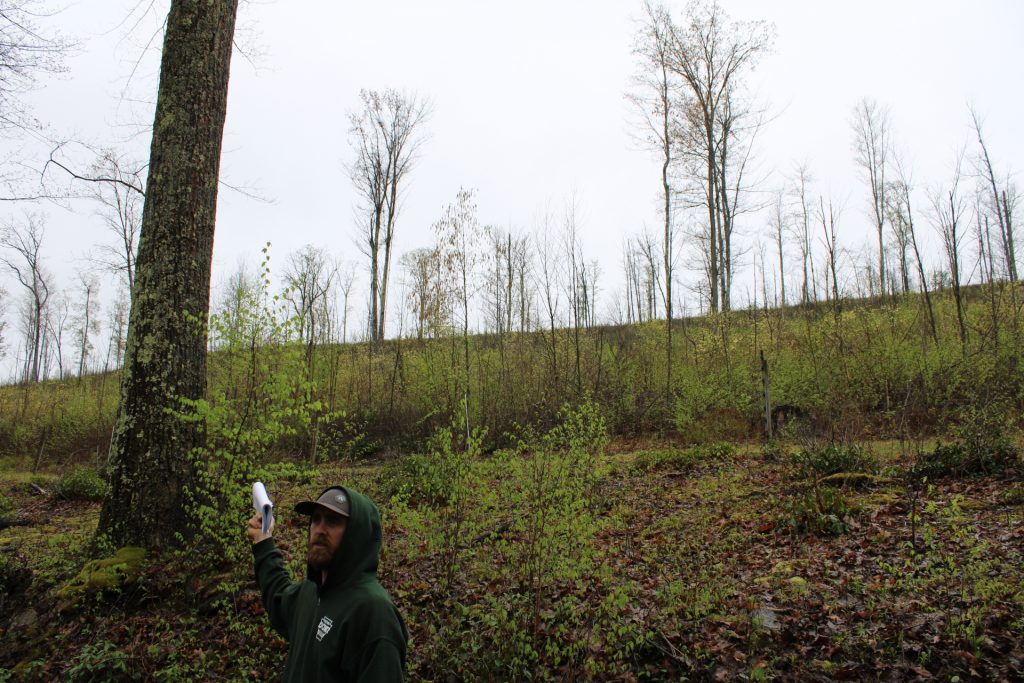 Prescribed Burn site