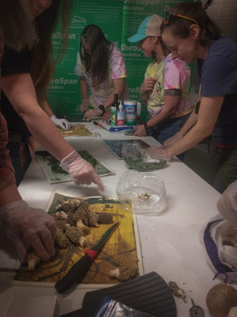 Davis and attendees cutting mushrooms