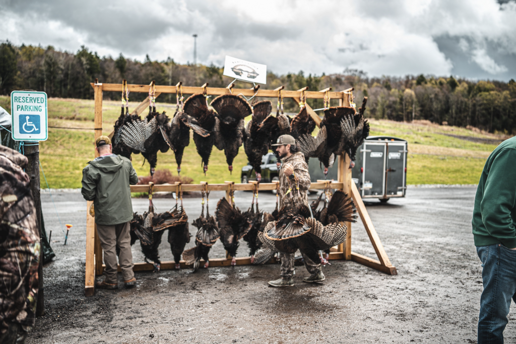 Birds to be scored