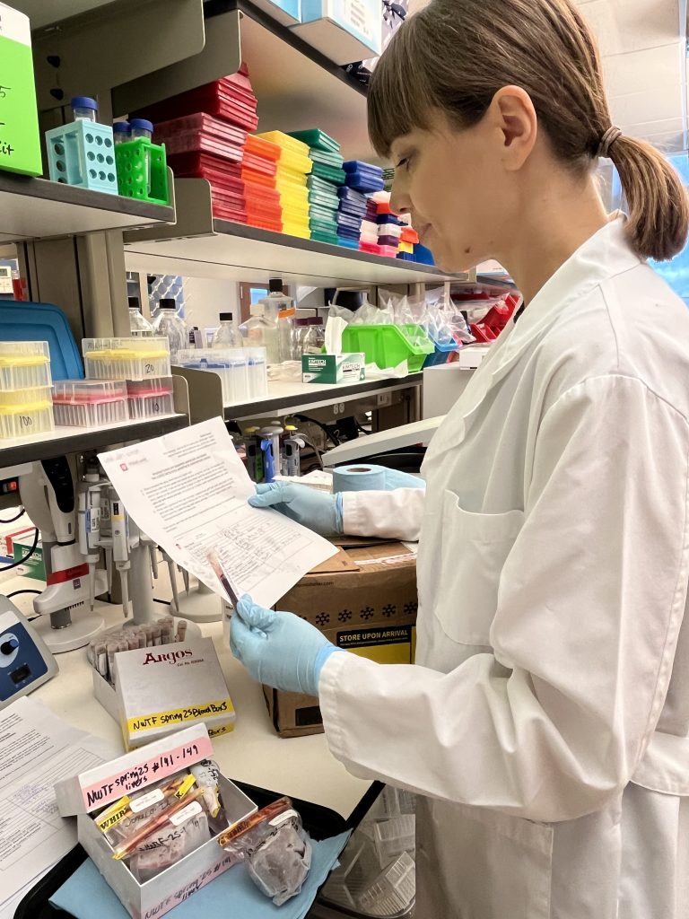Lead researcher looking through samples
