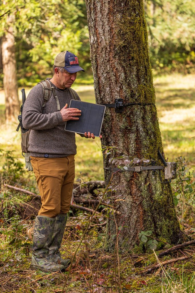 Hunter places a trail camera on a tree.