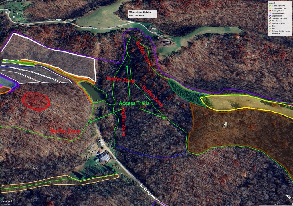 Buffer zone concept, graphic by Whetstone Habitat.