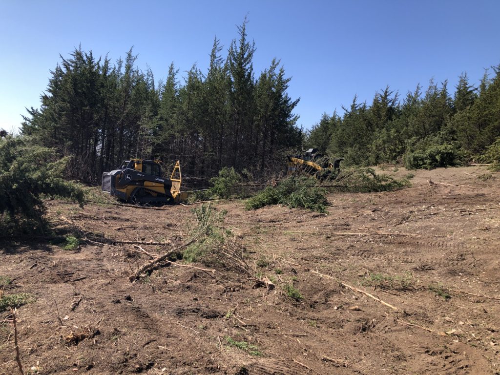 Contracted mower removed invasive woody brush.