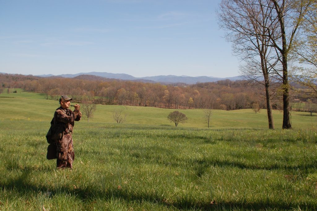 Hunter calls for a wild turkey