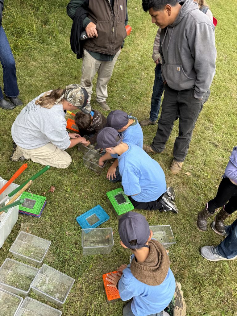 Young attendees investigate wildlife from the pond.